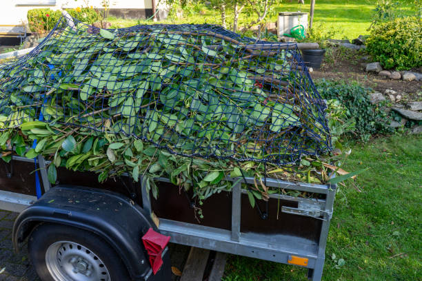 Best Moving and Downsizing Cleanouts  in Spring City, UT